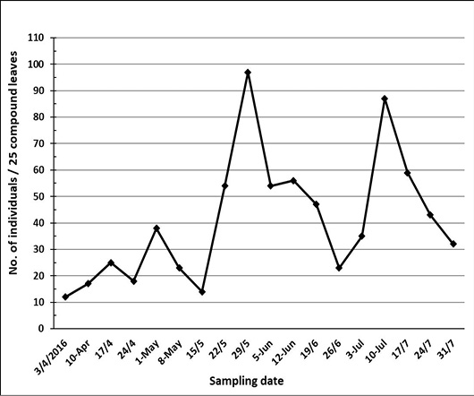 Figure 4: