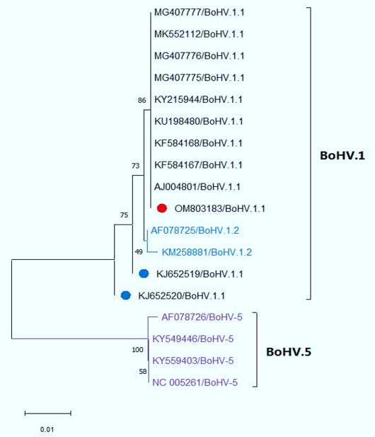Figure 5: