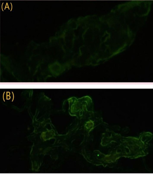 Figure 3: