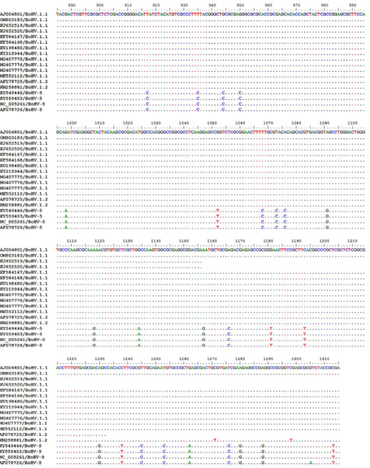 Figure 6: