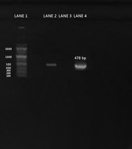 Figure 4:
