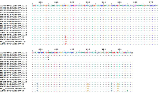 Figure 7: