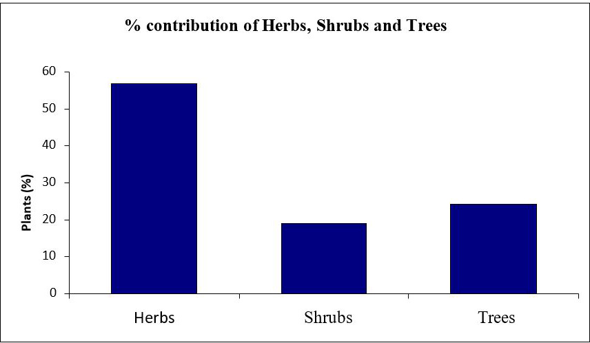 Figure 4: