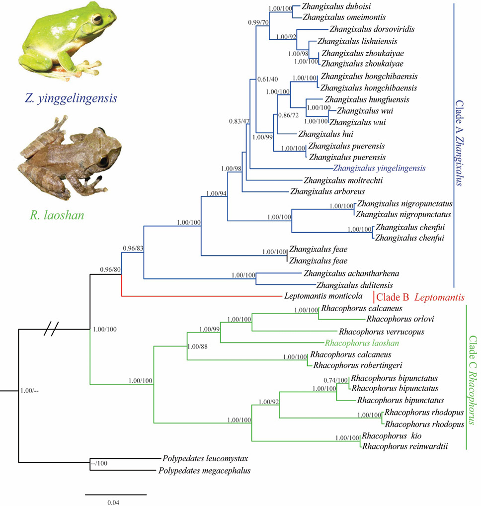 Fig. 2.