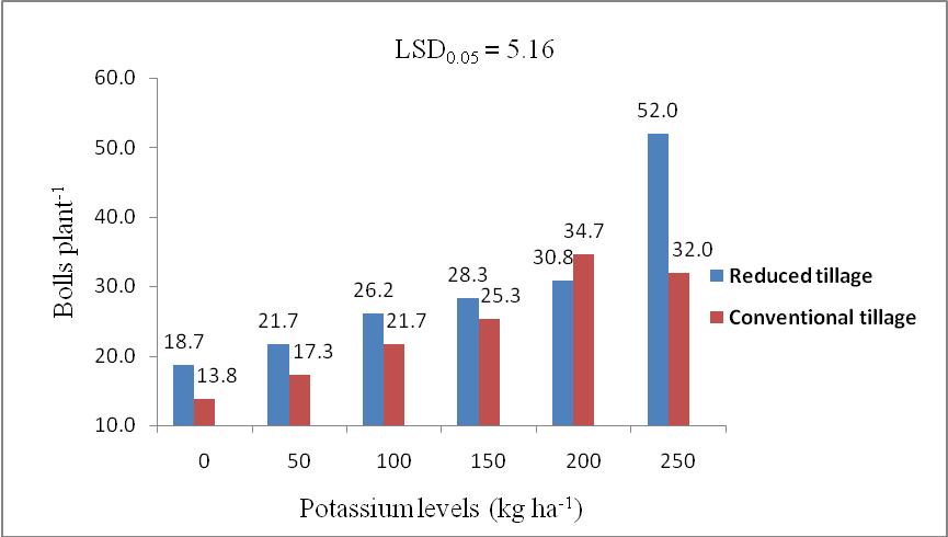 Figure 2:
