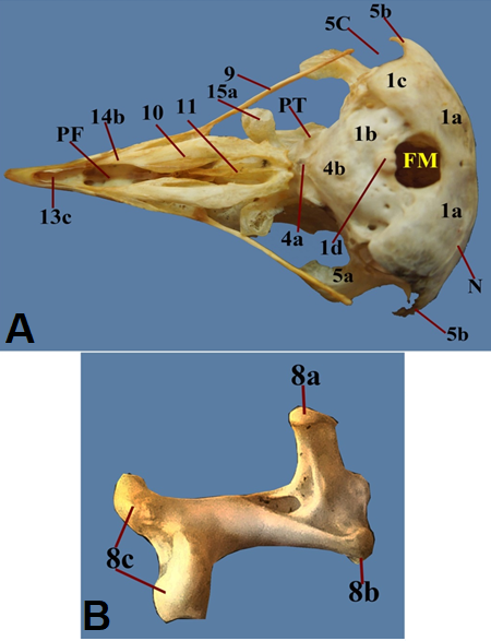 Figure 2: