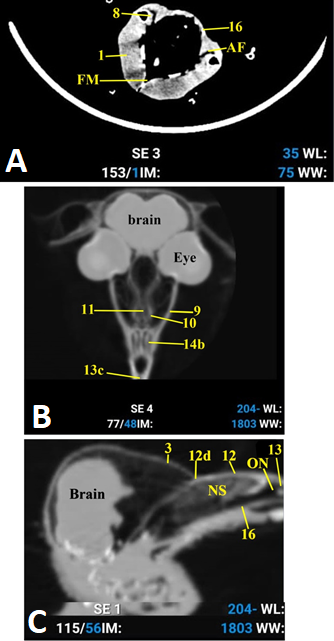 Figure 5: