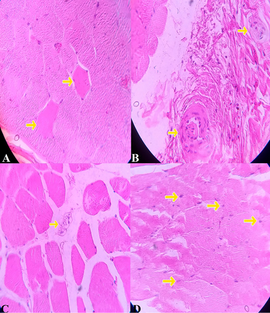 Figure 5:
