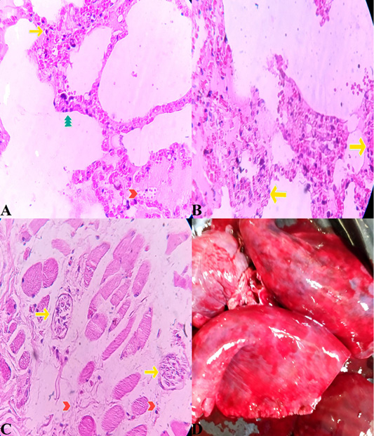 Figure 3: