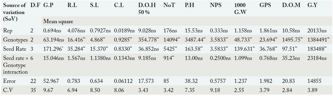 Table 6: