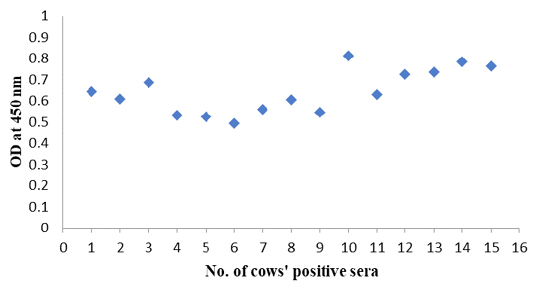 Figure 4: