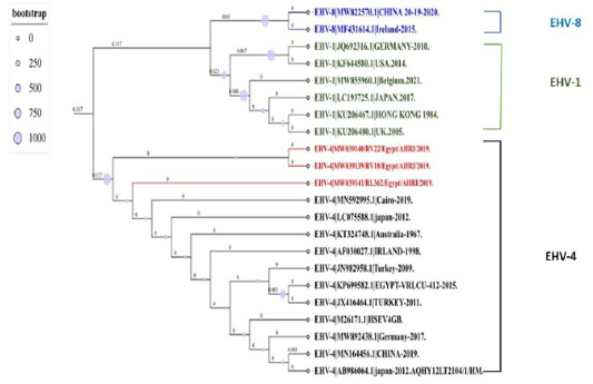 Figure 3: