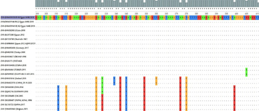 Figure 4: