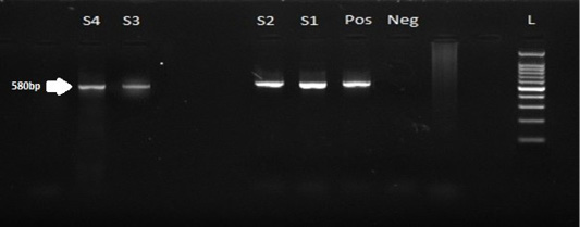 Figure 2: