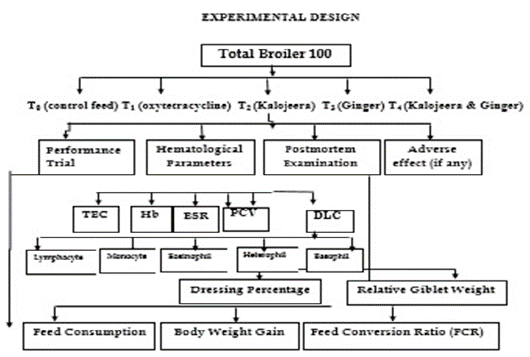 Figure 1: