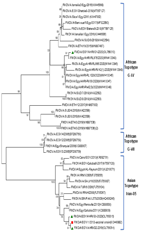 Figure 5