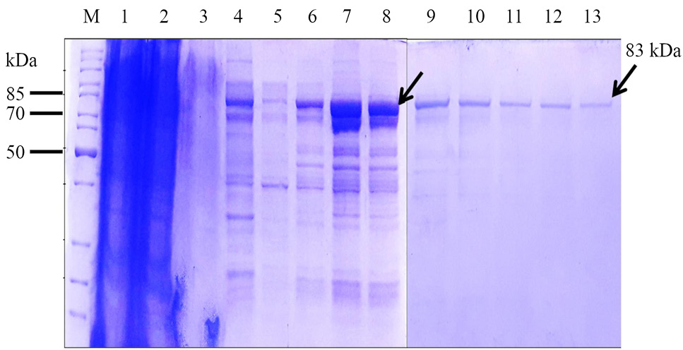 Fig. 4.