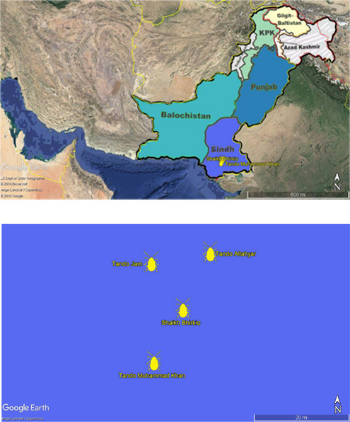 Figure 3: