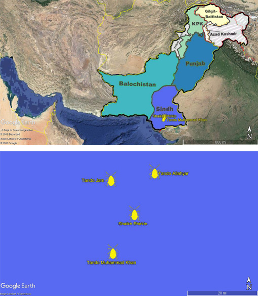 Figure 2: