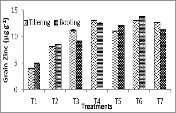 Figure 5: