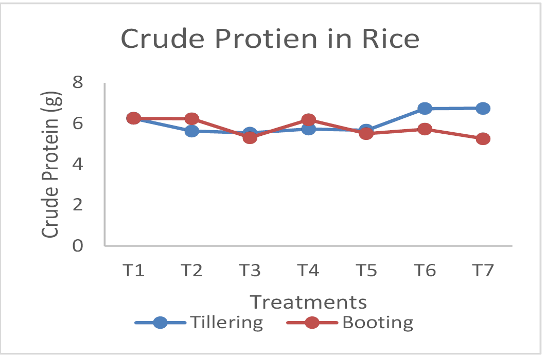 Figure 13: