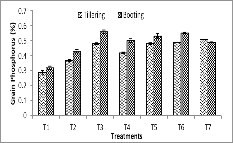 Figure 6: