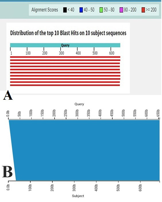 Figure 2: