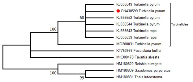 Figure 3: