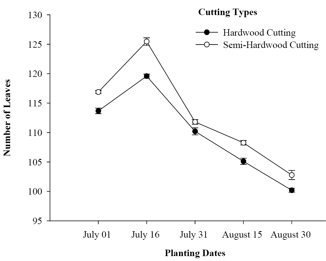 Figure 5b: