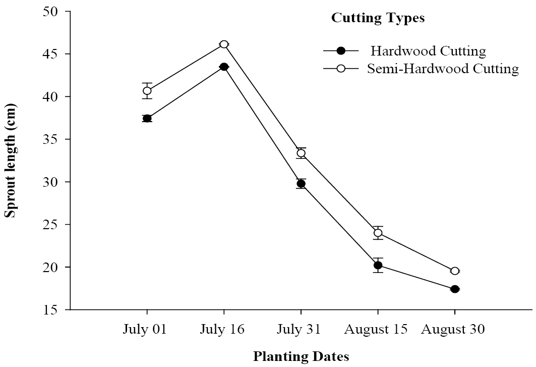 Figure 4c: