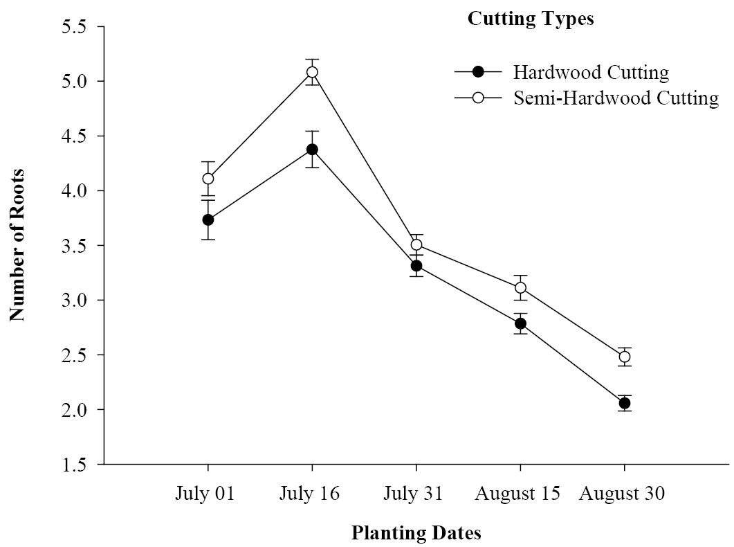 Figure 6b: