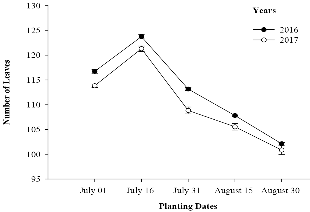 Figure 5a: