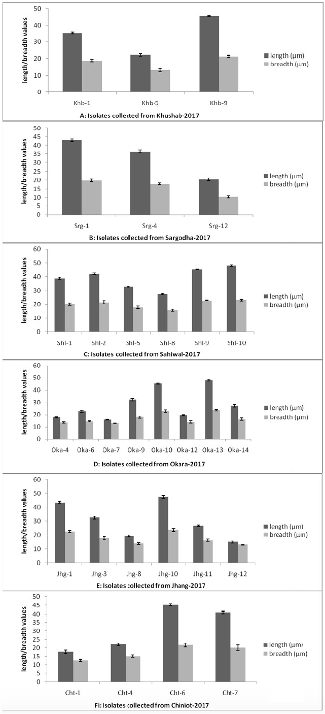 Figure 7: