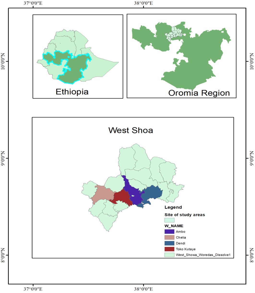 Figure 1: