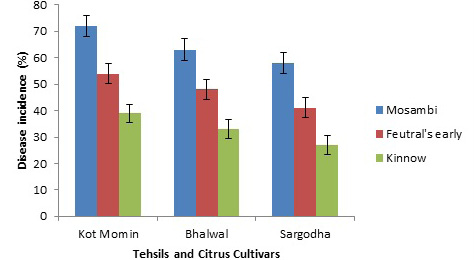 Figure 3: