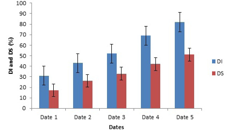 Figure 4: