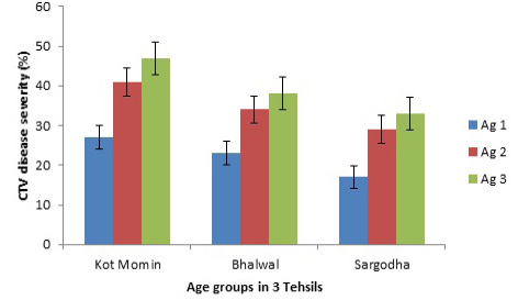 Figure 5: