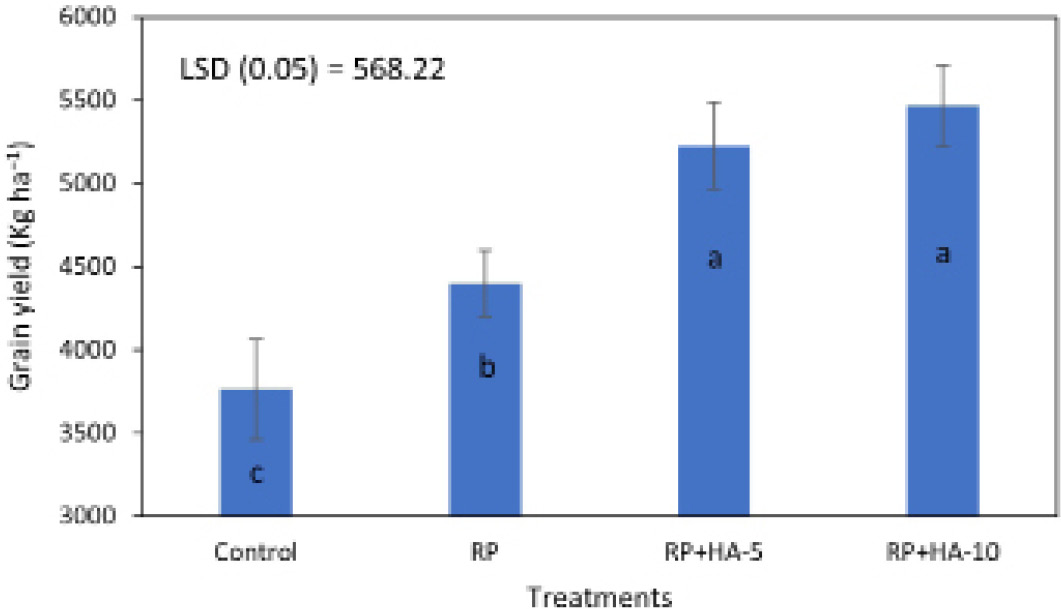 Figure 4: