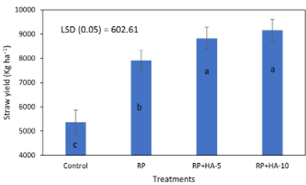 Figure 6: