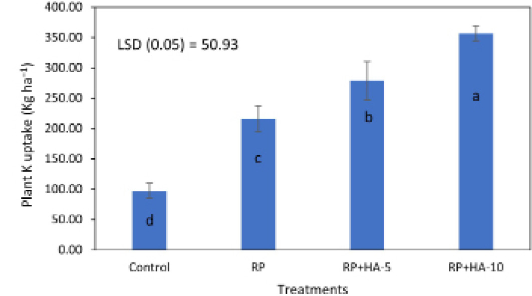 Figure 3:
