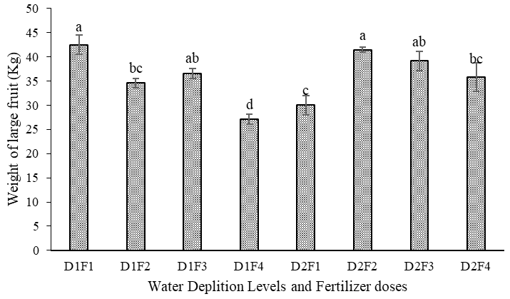 Figure 5: