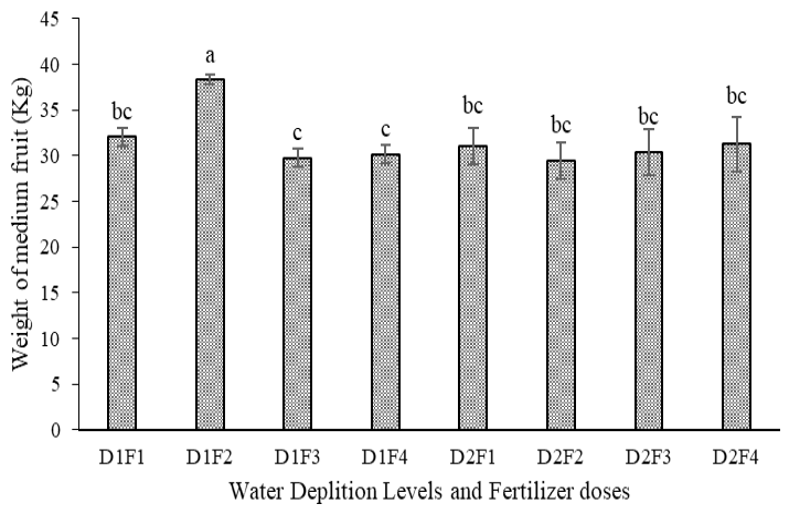 Figure 6: