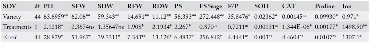 Table 4: