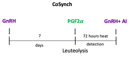 Figure 2: