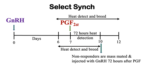 Figure 3: