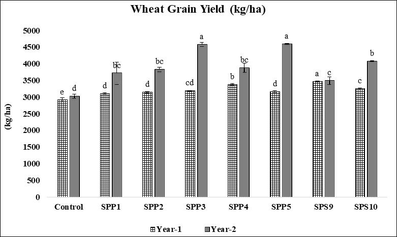 Figure 5: