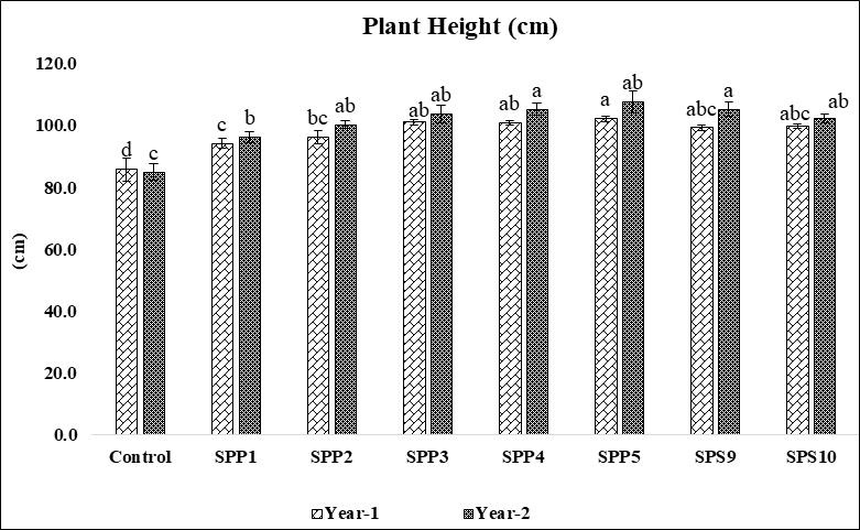 Figure 2: