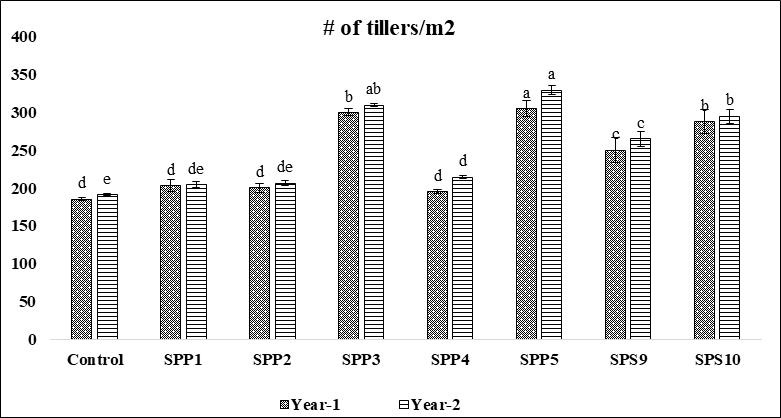 Figure 4: