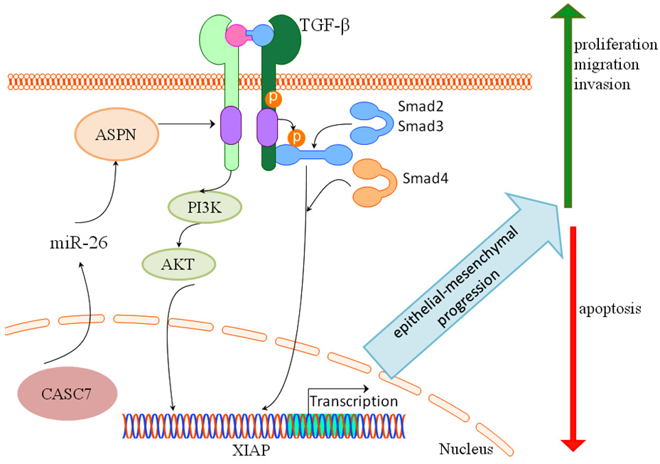Fig. 7.