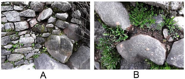Fig. 18.